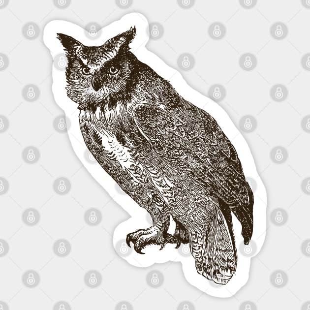 Owl Art Sticker by penandinkdesign@hotmail.com